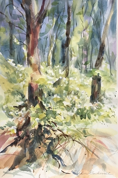 Spring Woods