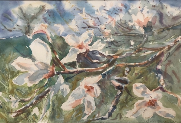 Magnolias