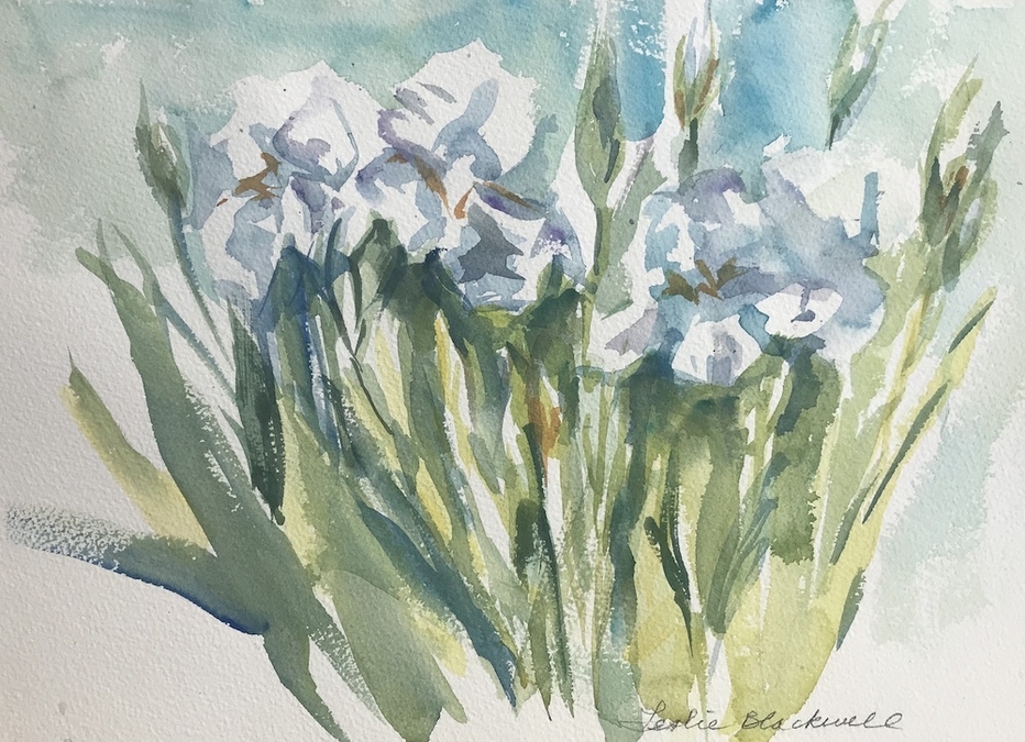 White Irises